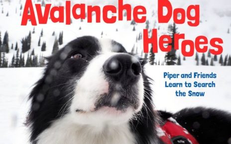 avalanche dog cover