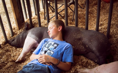 Boy with pig