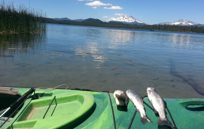Trout on a kayak