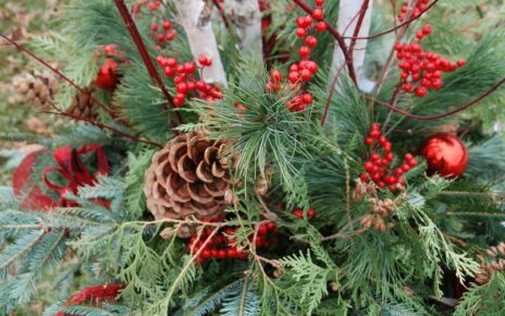 Evergreen, holly and pine cone