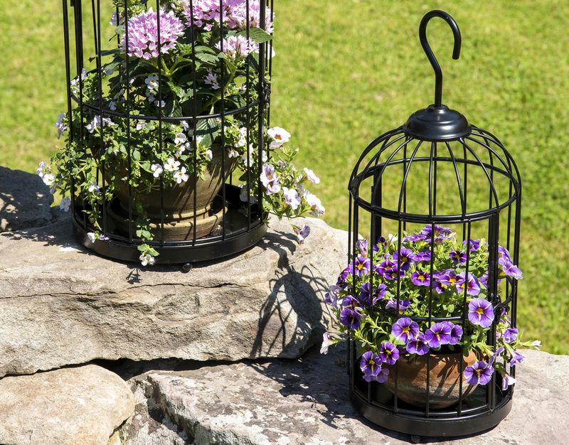 Bird cage planters