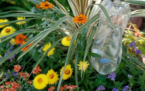 Water bottle watering flowers