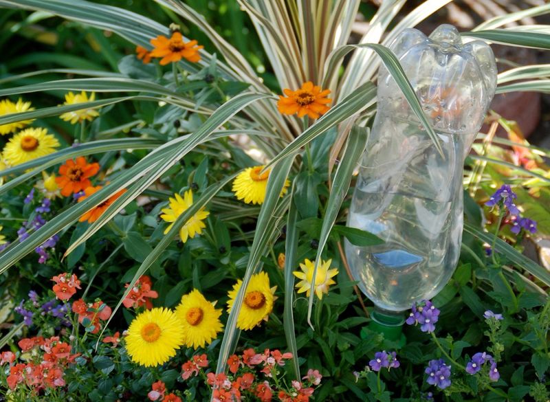 Water bottle watering flowers