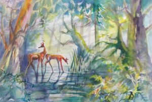 Two deer in forest